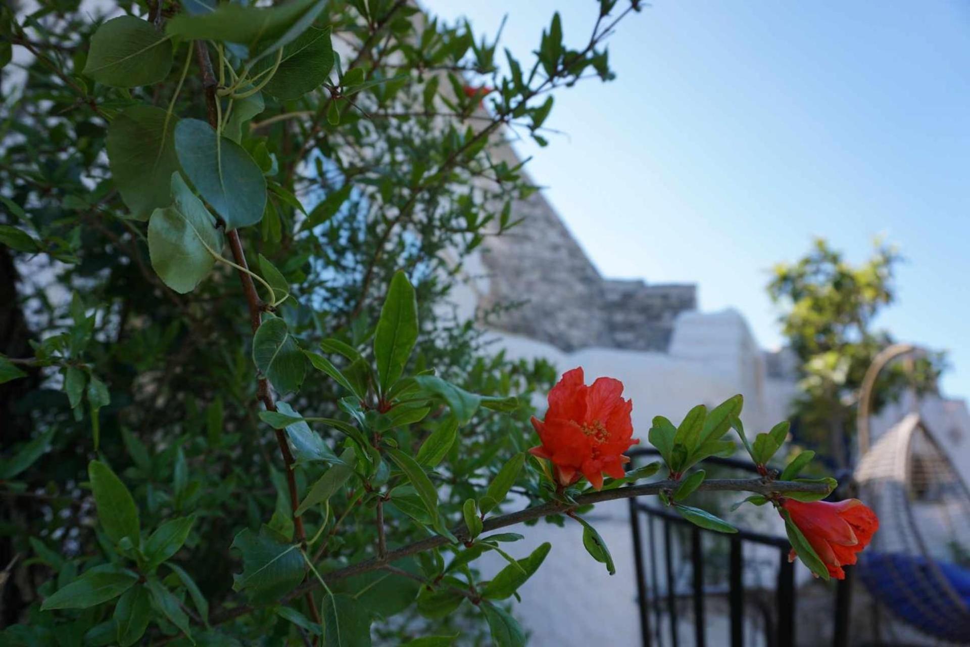 Trullo Biricchino Two Bedroom By Tripostuni Luaran gambar